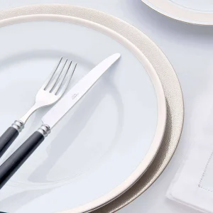 Alliance Platinum Dinner Plate