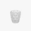 Anemones Votive Clear