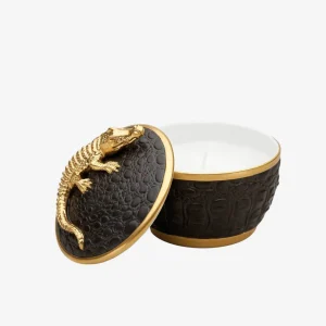 Crocodile Scented Candle