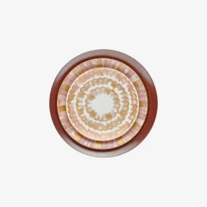 Dahlia Dinner Plate Rose