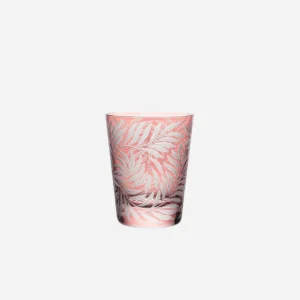 Fern Medium Tumbler Rose - Set of 2