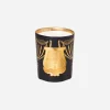 Fir Scented Candle