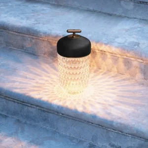 Folia Dark Wood Portable Lamp