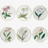 Histoires d'Orchidées Dessert Plates - Set of 6