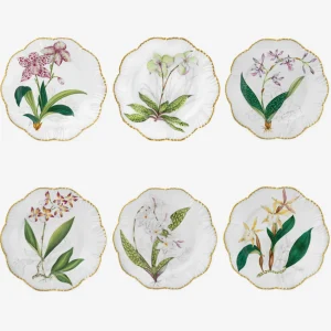 Histoires d'Orchidées Dinner Plates - Set of 6