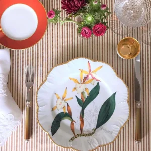Histoires d'Orchidées Dinner Plates - Set of 6