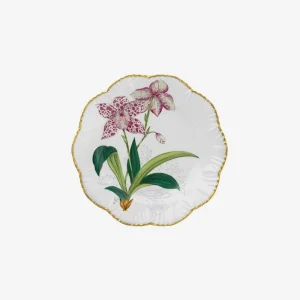 Histoires d'Orchidées Dinner Plates - Set of 6
