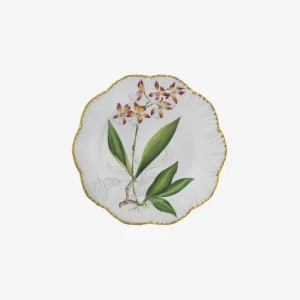 Histoires d'Orchidées Dinner Plates - Set of 6