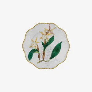 Histoires d'Orchidées Dinner Plates - Set of 6
