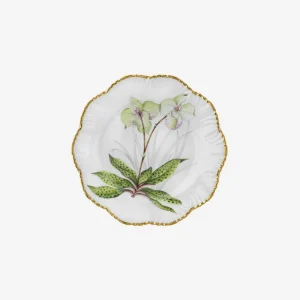 Histoires d'Orchidées Soup Plates - Set of 6