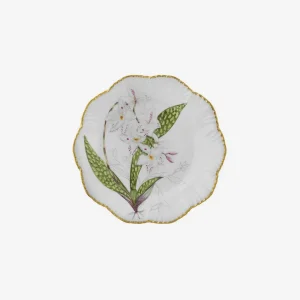 Histoires d'Orchidées Soup Plates - Set of 6