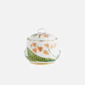 Histoires d'Orchidées Sugar Bowl
