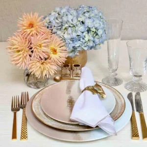 Horizon Dinner Plate Blush