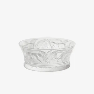 Jungle Bowl