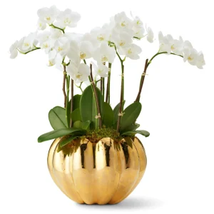 Mirabelle Cachepot Gold