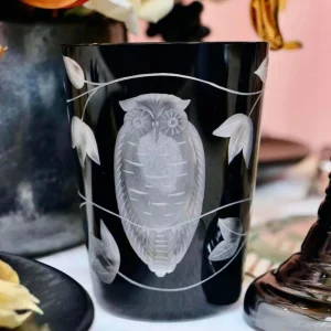 Night Owl Tumbler - Set of 2