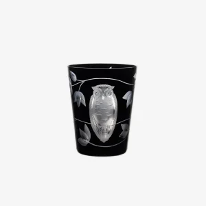 Night Owl Tumbler - Set of 2