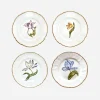 Old Master Tulips Dinner Plate - Set of 4