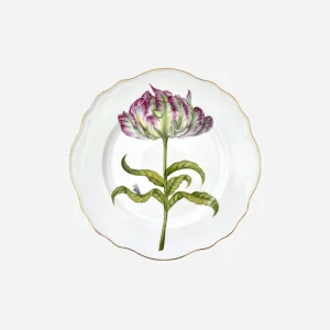 Parrot Tulip Dinner Plate