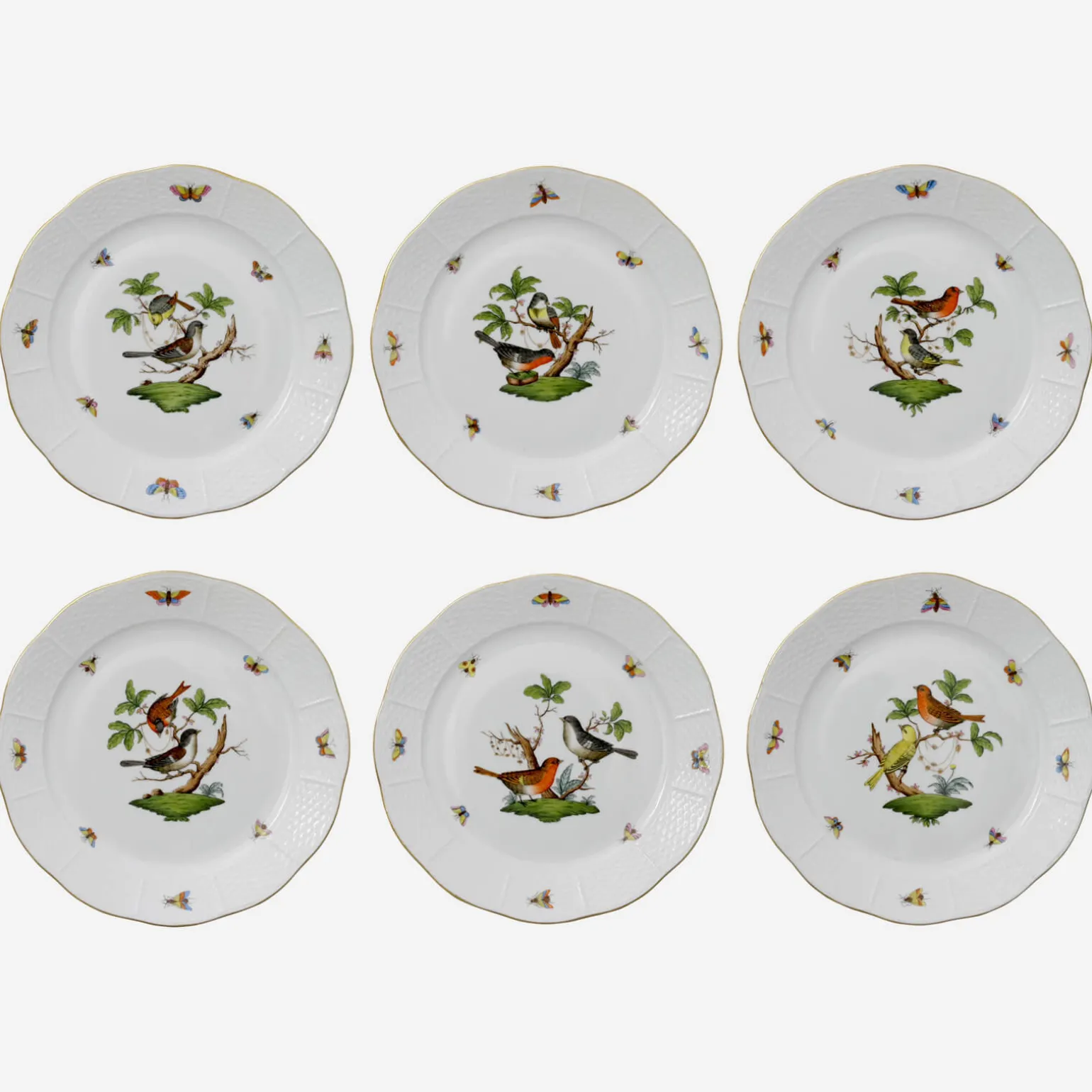 rothschild_bird_dessert_p_0.webp Rothschild Bird Dessert Plate - Set of 6