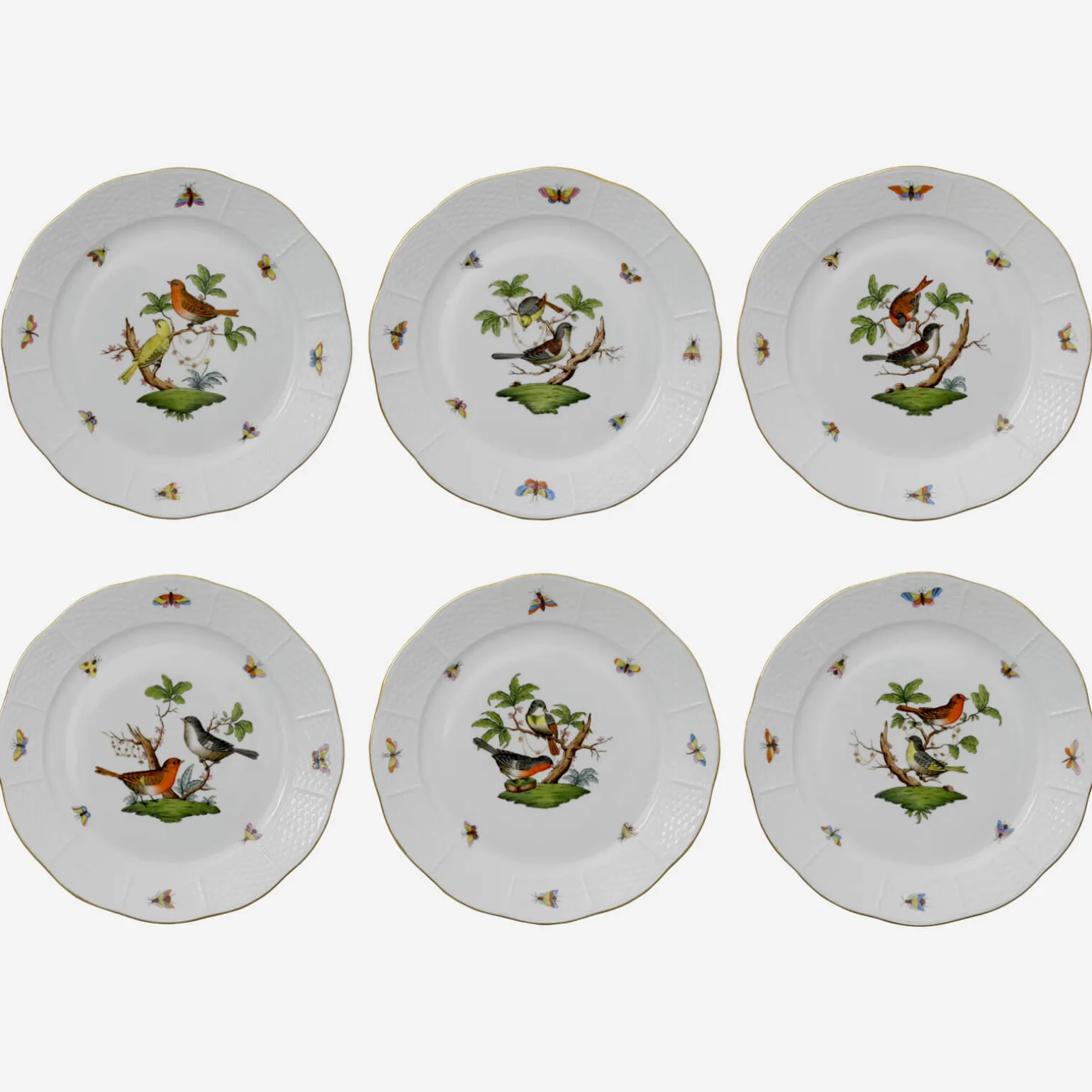 rothschild_bird_dinner_pl_0.webp Rothschild Bird Dinner Plate - Set of 6
