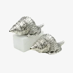 Silver Shell Salt & Pepper Set