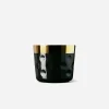 Sip of Gold Moon Champagne Goblet