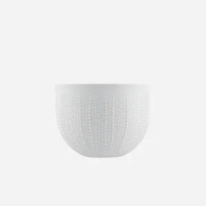 Touché Sea Urchin Bowl