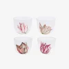 Tulipmania Water Tumblers – Set of 4