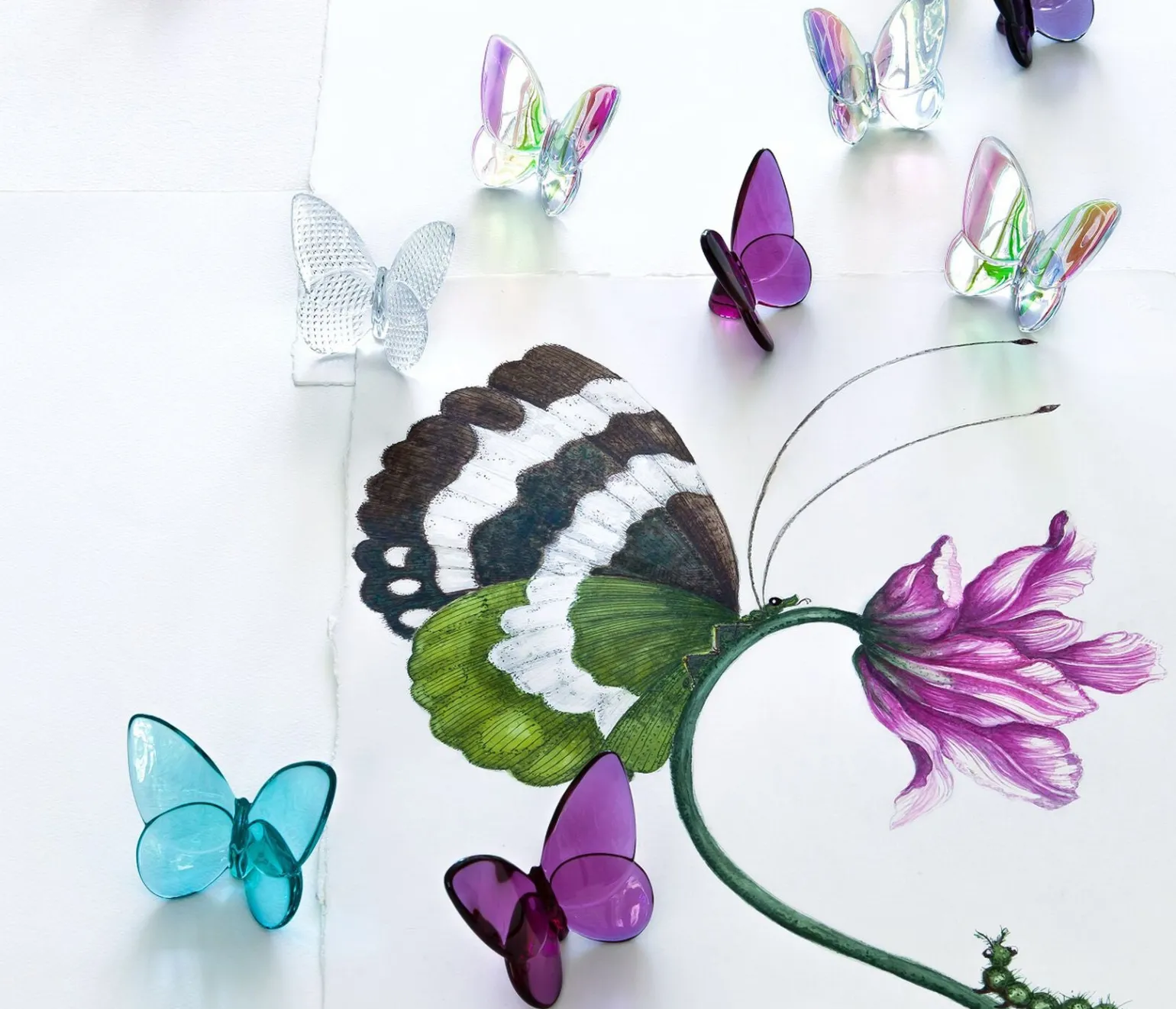 turquoise_papillon_lucky__1.webp Turquoise Papillon Lucky Butterfly