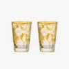 Verdure Large Tumbler Amber - Set of 2