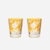 Verdure Medium Tumbler Amber - Set of 2